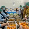 Menteri Kependudukan tinjau dapur MBG, pastikan standar gizi terpenuhi  