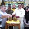 Kontes durian di Aceh Tenggara, jurinya dari Malaysia