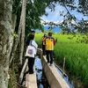 Nagan Raya prioritaskan dana TKD untuk sektor ini