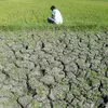 BMKG ingatkan kombinasi El Nino dan IOD terjadi bersamaan, ini dampaknya