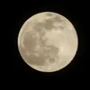 Lihat Fenomena Harvest Moon hiasi langit di Aceh 