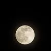 Fenomena Harvest Moon