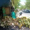 Mungkin minuman ini yang cocok untuk anda di musim panas