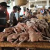 Lonjakan harga ayam potong di Aceh