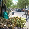 Kelapa muda  paling dicari warga Banda Aceh, ada apa?