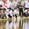 KKP salurkan 4,2 juta benur udang  ke Aceh Timur, program ini