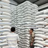 BULOG Tembus Serapan 3 Juta Ton Gabah-Beras Petani, Rekor Baru Perkuat Ketahanan Pangan Nasional