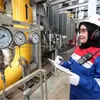   Tingkatkan Penyerapan Gas Domestik, PGN Grup Serap Pasokan LNG IDD Bangka dari WK Rapak