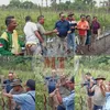 Wakil Bupati Belu Panen Tomat di Rafae, Dorong Stabilitas Pangan dan Ekonomi Petani
