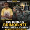 Wujudkan Program 'Asri', Personel Batalyon A Pelopor Satuan Brimob NTT Bedah Fasilitas Katedral Atambua