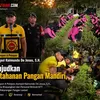 Inovasi P2L Brimob NTT: Sulap Lahan Kosong Jadi Area Pertanian Mandiri
