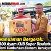 Perkuat Ekonomi Warga, Kelurahan Manuaman Bagikan 800 Ayam KUB Super ke Kelompok Ternak