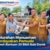 Dorong Kemandirian Pemuda, Kelurahan Manuaman Salurkan 20 Bibit Babi Durok