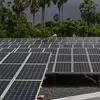 Konflik Timur Tengah Picu Harga Energi dan Soroti Ketergantungan Pada Tiongkok dalam Transisi Energi