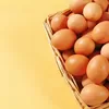 Harga Telur Jatuh di Magetan, Bisakah Program Makan Bergizi Gratis Menjadi Penopang Baru Bagi Peternak Lokal