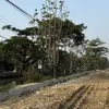 Perlintasan Sebidang bakal Ditutup, Underpass Nonon Sonthanie Jadi Prioritas Pemkot Bekasi
