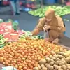 Cabai dan Bawang Masih Jadi Primadona, Ini Daftar Harga Sayuran Terbaru di Pasar Tumpah Bekasi per 3 Juni 2026
