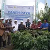 Sinergi Pusri dan Kementan Dongkrak Daya Saing Kopi Arabika Kintamani di Pasar Global