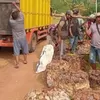 Harga Minyak Dunia Turun, Diprediksi Berdampak di Harga Karet Pasar Global, Apkindo Sumsel Sebut Permintaan Karet Sintetis Bakal Melonjak