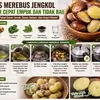 Tips Merebus Jengkol Agar Cepat Empuk dan Tidak Bau, Cuma Pakai Daun Jeruk, Daun Salam, dan Kopi