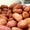 Hobi Ngemil? 6 Jenis Kacang Berikut Bisa Membantu Diet Sehat