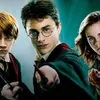 Perjalanan Karier Para Pemeran Harry Potter Setelah Film Berakhir: Kisah Sukses Mereka