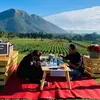 Senja Pagi Cafe And Glamping, Rekomendasi Tempat Sarapan Romantis di Magelang dengan Pemandangan 7 Gunung