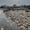 Pandawara Gagal Bersihkan Pantai Loji, Tak Kantongi Izin Pemerintah Desa Setempat, Akankah Berujung Pidana?