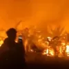 Waspada Musim Kemarau, Bukit Batu Sapi di Cianjur Hangus Terbakar