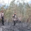 Panas, Hutan Puncak Lawu Terbakar, 150 Relawan Berjuang Padamkan Api