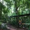 Hutan di Tengah Kota Bandung Ini Dibangun Dengan Biaya 17 Miliar, Ada Jembatan Panjang Seperti Ular Lho!