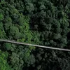Panjang 243 Meter, Jembatan Gantung di Jawa Barat Ini Terpanjang Se-Asia Tenggara Hanya Dibanggun 4 Bulan