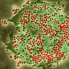 Virus Varian SARS-CoV-2 BA.2.86 Baru Muncul di Inggris, Sebabkan 5 Orang Masuk Rumah Sakit