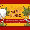 CARI TAHU! Mengapa Penyalahgunaan Narkoba Dapat Membahayakan Kesehatan Fisik Seseorang?