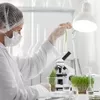 Bioteknologi yang Tidak Menggunakan Prinsip Dasar Fermentasi Adalah Mencakup 8 Hal, Termasuk Rekayasa Genetika