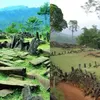 Lebih Tua dari Bangunan Piramida di Mesir, Asal Usul Batu-Batuan Unik di Gunung Padang Cianjur Jadi Misteri