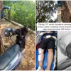 Carut Marut Pelayanan Kesehatan, Pengendara Motor Tertimpa Pohon Tumbang di Jalan Raya Bogor Sulit Dapatkan Akses