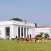 Antara Rusa Totol dan Istana Bogor, Begini Cerita Unik Dua Warisan Sejarah yang Tak Terpisahkan Sejak Masa Penjajahan