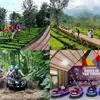 Lagi Viral! Wisata Hidden Gem Terbaru di Tengah Kebun Teh Puncak Bogor, HTM Cuma Rp25 Ribu