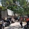  Truk Kontainer dan Mobil Polisi Ketiban Pohon Tumbang di Ciawi Bogor
