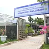 BRInita Dukung Perempuan Bertani, KWT Buaran Citra Lestari Panen Sulap Lahan Sempit Jadi Kebun Produktif