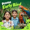 Taman Safari Bogor Buka Promo Tiket Early Bird! Catat Waktu, Cara Pesan dan Fasilitas yang Bisa Kamu Dapatkan