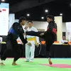 Penutup Manis! Pencak Silat Indonesia Tambah Dua Medali Emas di Hari Terakhir SEA Games 2025