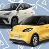 Perbandingan BYD Atto 1 vs Wuling Binguo: Adu Mobil Listrik Mungil Paling Terjangkau di Indonesia