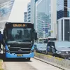 Daftar 15 Golongan Warga yang Boleh Gratis Naik Transjakarta dan LRT di Jakarta, Kamu Termasuk?