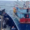 KKP Tertibkan 9 Kapal Ikan Indonesia Yang Melanggar Ketentuan Operasional