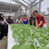 Pertamina Patra Niaga Dorong Perkembangan Kampung Pangan Madani dan Ekowisata Pulau Semut di Pekanbaru
