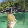 Momen Liburan Mengesankan, Berenang Bersama Ubur-ubur Jinak di Danau Kakaban, Kalimantan Timur
