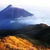 Perlu Tahu! Fakta Unik Gunung Lawu Yang Masih Terbakar, Dipercaya Sebagai Tempat Petilasan Prabu Brawijaya V