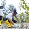Dukung Program Gotong Royong Boyong Pohon Kementerian BUMN, PT Timah Tanam 3000 Mangrove